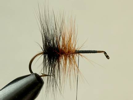 Fly of the week - Flyanglers Online - March 22, 2010