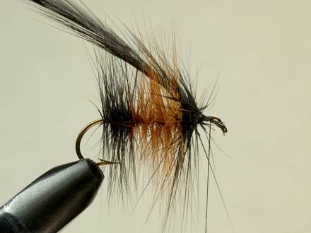 Fly of the week - Flyanglers Online - March 22, 2010