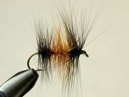 Fly of the week - Flyanglers Online - March 22, 2010