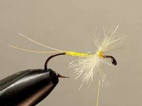 Fly of the Week - Flyanglers Online - March 29, 2010
