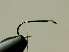 Fly of the Week - Flyanglers Online - April 12, 2010
