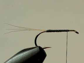 Fly of the Week - Flyanglers Online - April 12, 2010