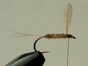 Fly of the Week - Flyanglers Online - April 12, 2010