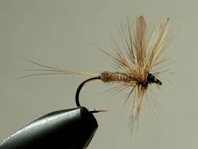 Fly of the Week - Flyanglers Online - April 12, 2010