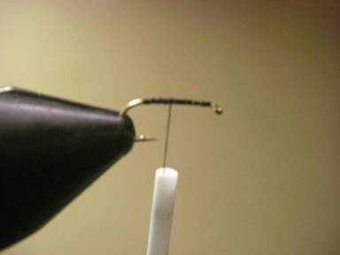 Fly of the Week - Visible Fur Ant - April 26, 2010