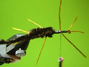 Fly of the Week - Rubber Legs Stonefly Nymph - May 24, 2010