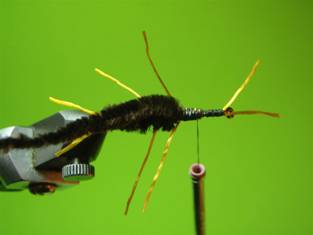 Fly of the Week - Rubber Legs Stonefly Nymph - May 24, 2010