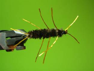 Fly of the Week - Rubber Legs Stonefly Nymph - May 24, 2010