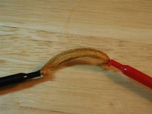 Fly of the Week - JC's Salmon Fly - June 7, 2010