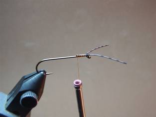 Fly of the Week - JC's Salmon Fly - June 7, 2010