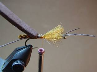 Fly of the Week - JC's Salmon Fly - June 7, 2010