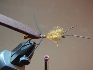 Fly of the Week - JC's Salmon Fly - June 7, 2010