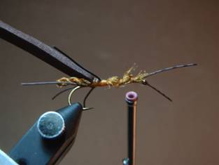 Fly of the Week - JC's Salmon Fly - June 7, 2010