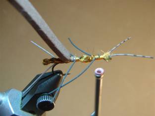 Fly of the Week - JC's Salmon Fly - June 7, 2010