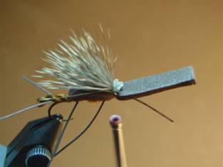 Fly of the Week - JC's Salmon Fly - June 7, 2010