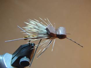 Fly of the Week - JC's Salmon Fly - June 7, 2010