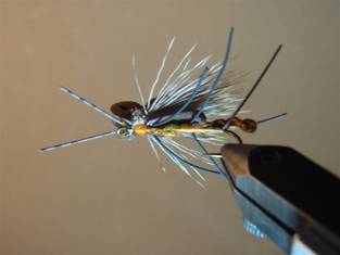 Fly of the Week - JC's Salmon Fly - June 7, 2010