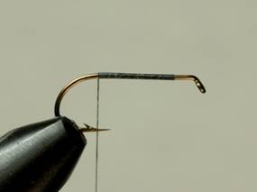 Fly of the Week - Badger Bivisible - June 14, 2010
