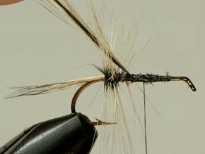 Fly of the Week - Badger Bivisible - June 14, 2010