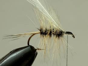 Fly of the Week - Badger Bivisible - June 14, 2010