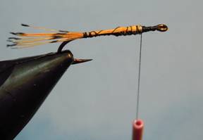 Fly of the Week - The Orange Nymph - July 12, 2010