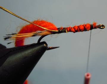 Fly of the Week - The Orange Nymph - July 12, 2010