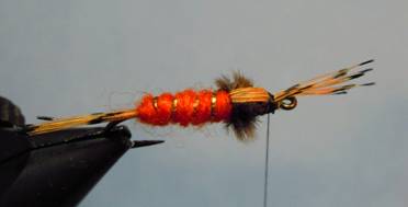 Fly of the Week - The Orange Nymph - July 12, 2010