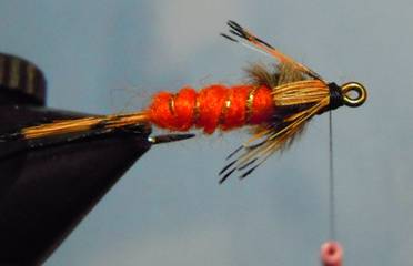 Fly of the Week - The Orange Nymph - July 12, 2010