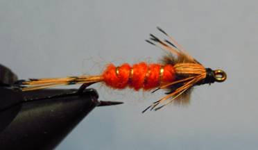 Fly of the Week - The Orange Nymph - July 12, 2010