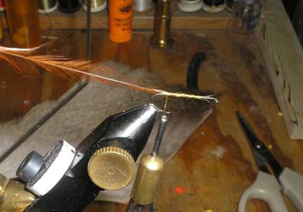 Tie hackle.JPG
