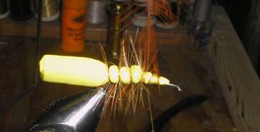Body with hackle.JPG