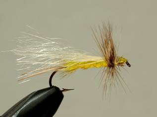 FOTW - Polar Commander - August 2, 2010