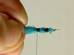 Bluet Damsel - Fly of the week - August 23, 2010