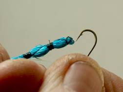 Bluet Damsel - Fly of the week - August 23, 2010