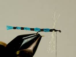 Bluet Damsel - Fly of the week - August 23, 2010