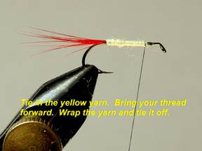 Doodlebug - Fly of the Week - August 30, 2010