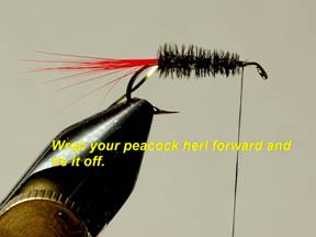 Doodlebug - Fly of the Week - August 30, 2010