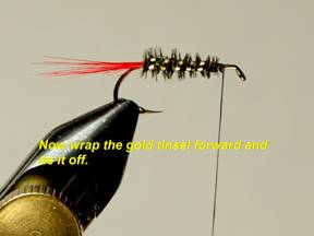 Doodlebug - Fly of the Week - August 30, 2010