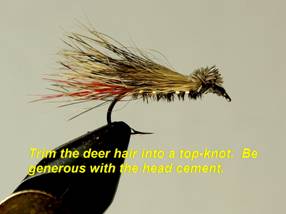 Doodlebug - Fly of the Week - August 30, 2010