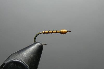 tan thread midge.jpg