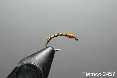 tan thread midge 2457.jpg