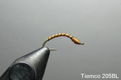 tan thread midge 205bl.jpg