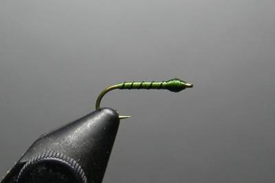 olive thread midge.jpg