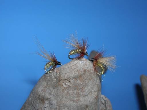 Fly of the week - Ralph Longhunter - September 20, 2010