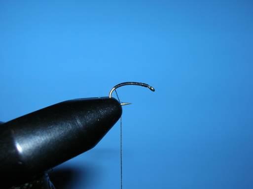 Fly of the week - Ralph Longhunter - September 20, 2010