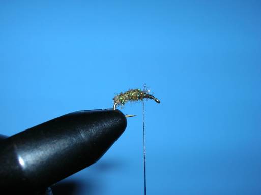 Fly of the week - Ralph Longhunter - September 20, 2010