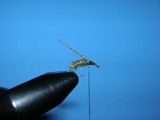 Fly of the week - Ralph Longhunter - September 20, 2010