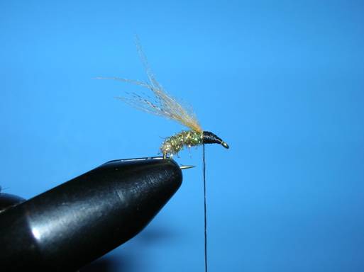 Fly of the week - Ralph Longhunter - September 20, 2010