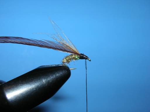 Fly of the week - Ralph Longhunter - September 20, 2010