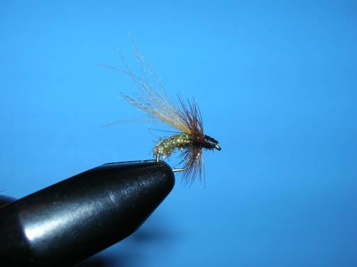 Fly of the week - Ralph Longhunter - September 20, 2010
